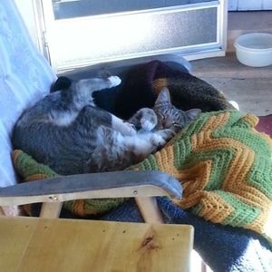 Meet your Posher, Libby